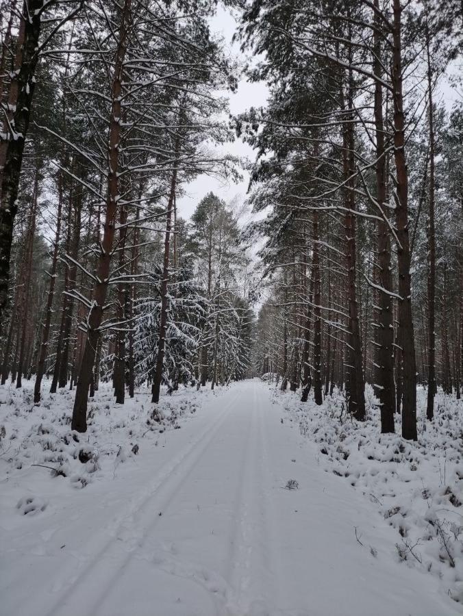 Ferienhaus Erna Doberlug-Kirchhain Екстериор снимка