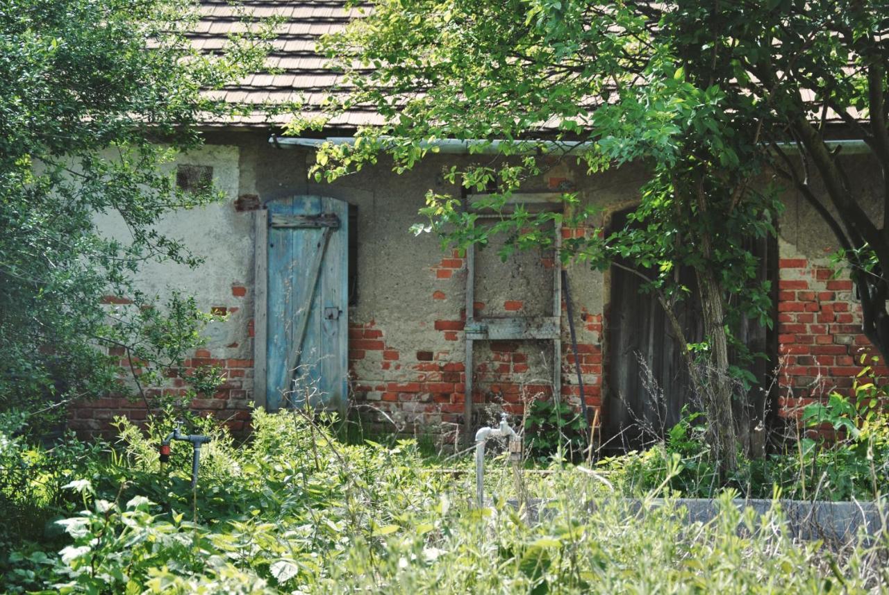 Ferienhaus Erna Doberlug-Kirchhain Екстериор снимка