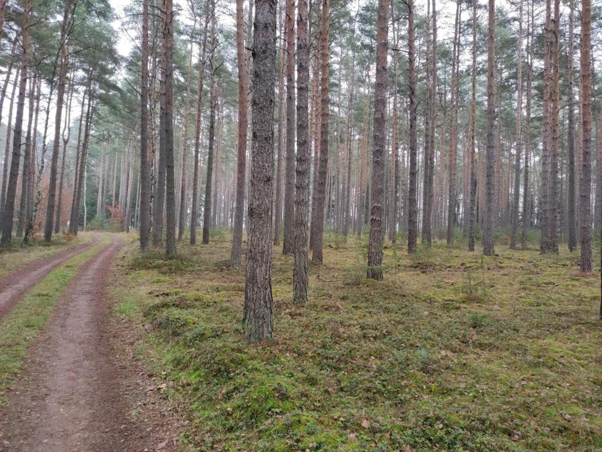 Ferienhaus Erna Doberlug-Kirchhain Екстериор снимка