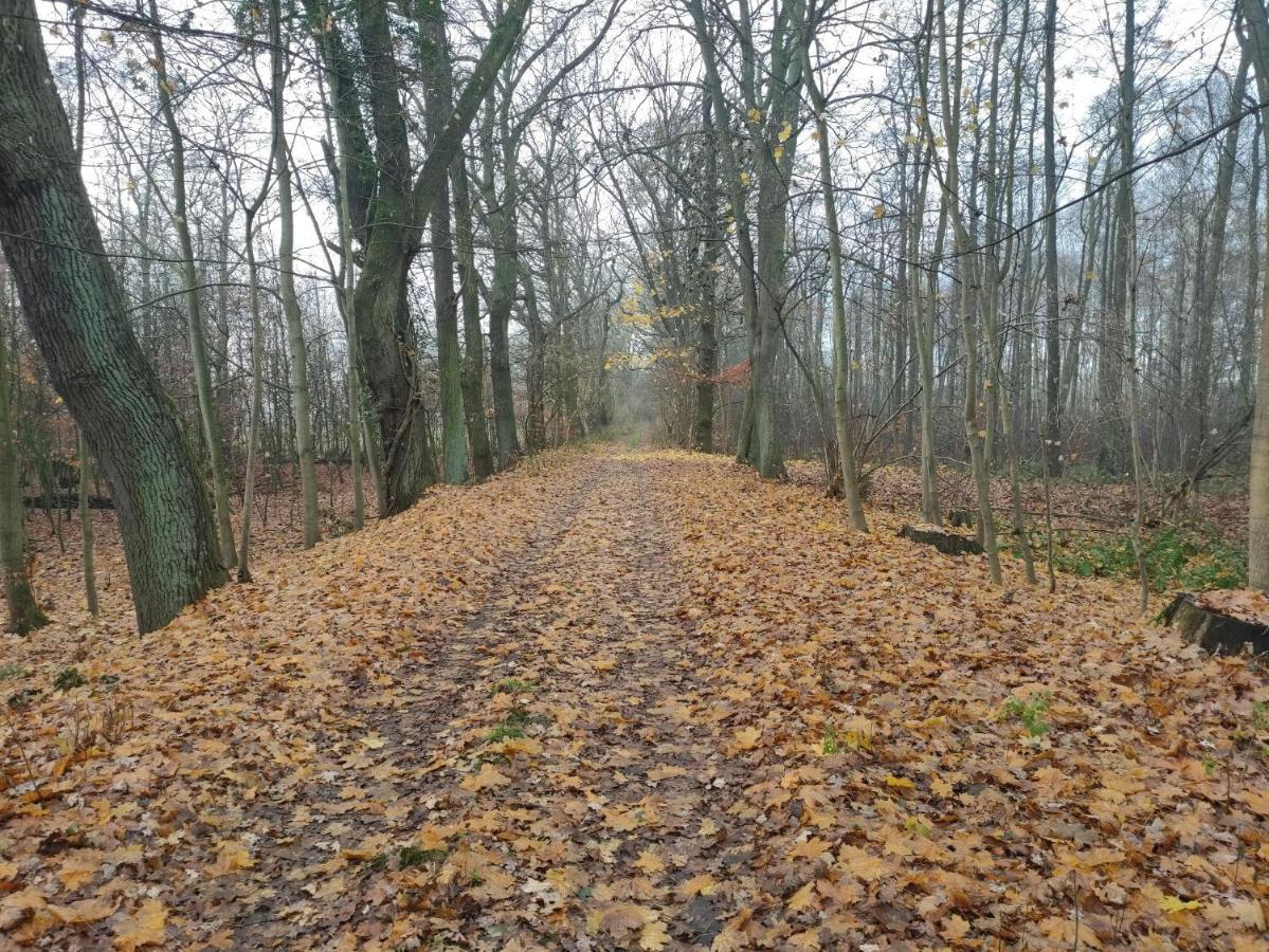 Ferienhaus Erna Doberlug-Kirchhain Екстериор снимка